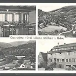 Drei Lilien 3* Waldbrunn (Baden-Wurttemberg)