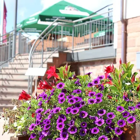 Отель Drei Lilien