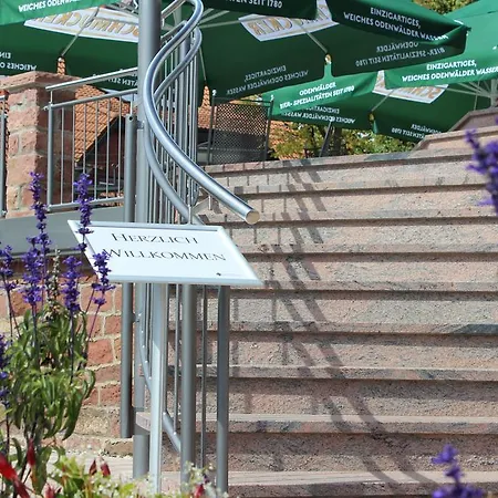 Drei Lilien Отель Waldbrunn (Baden-Wurttemberg)
