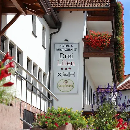 Drei Lilien