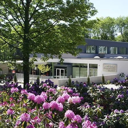 Hotel Drei Lilien Waldbrunn (Baden-Wurttemberg)