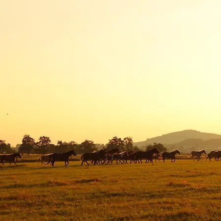 Drei Lilien Waldbrunn (Baden-Wurttemberg)