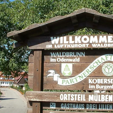 Отель Drei Lilien