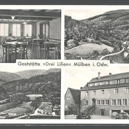 Drei Lilien 3* Waldbrunn (Baden-Wurttemberg)