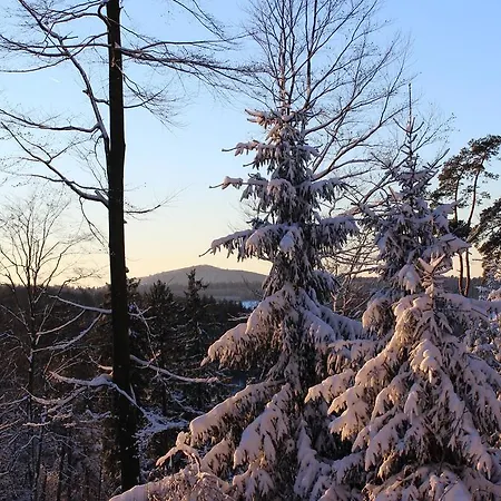 Drei Lilien 3* Waldbrunn (Baden-Wurttemberg)