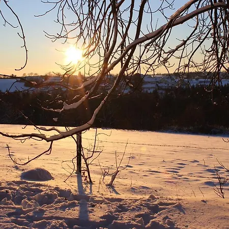 Drei Lilien Отель